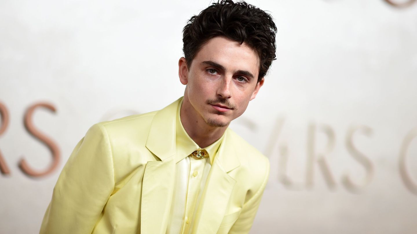 Timothée Chalamet hat ein wildes Promo-Video für seinen Film veröffentlicht. (Archivbild) Foto: Richard Shotwell/Invision/dpa