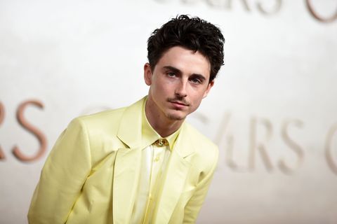 Timothée Chalamet hat ein wildes Promo-Video für seinen Film veröffentlicht. (Archivbild) Foto: Richard Shotwell/Invision/dpa