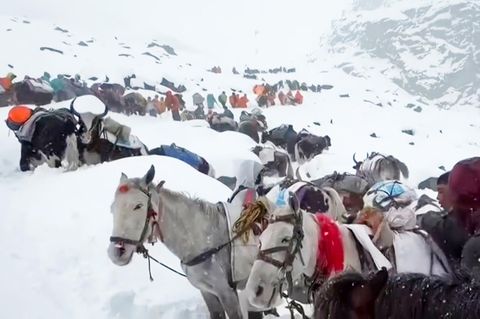 "Haben uns gegenseitig gewärmt": Geretteter Tourist schildert Zustand am Everest