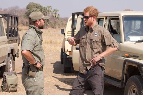 Prinz Harry ist seit vielen Jahren mit der Organisation "African Parks" verbunden