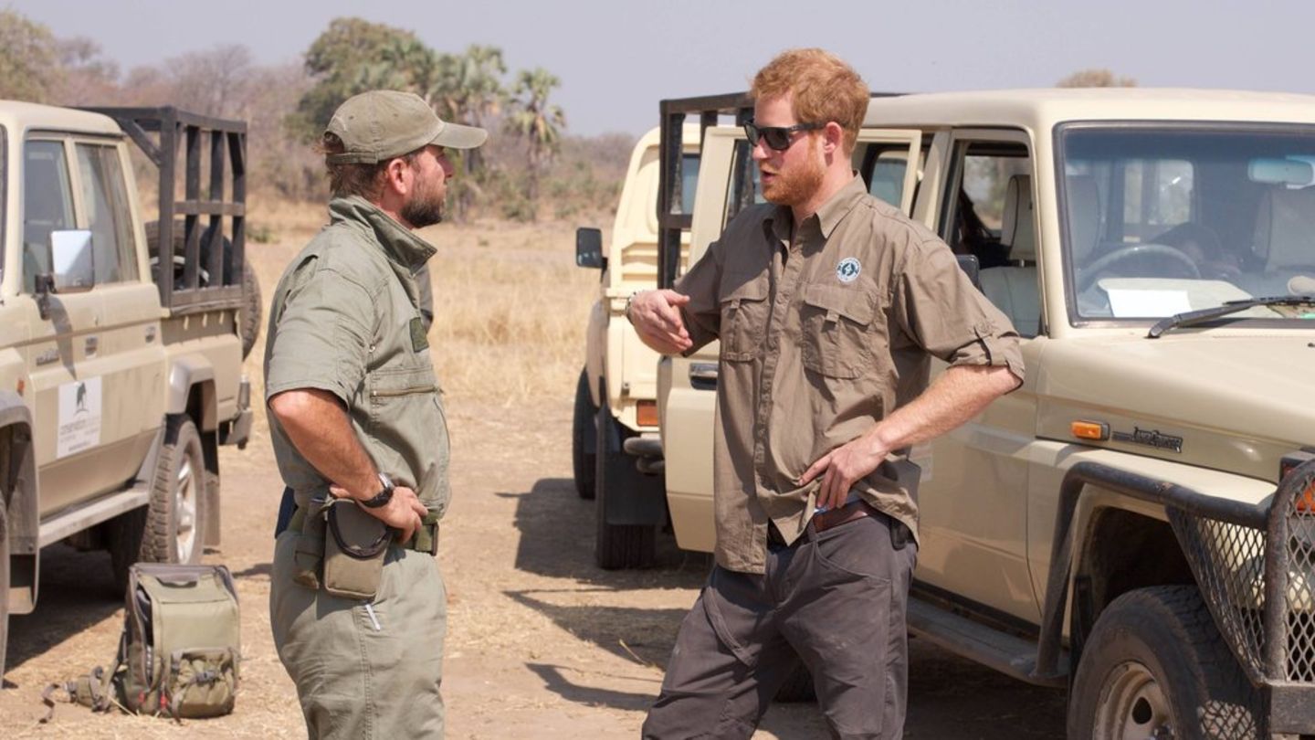 Prinz Harry ist seit vielen Jahren mit der Organisation "African Parks" verbunden