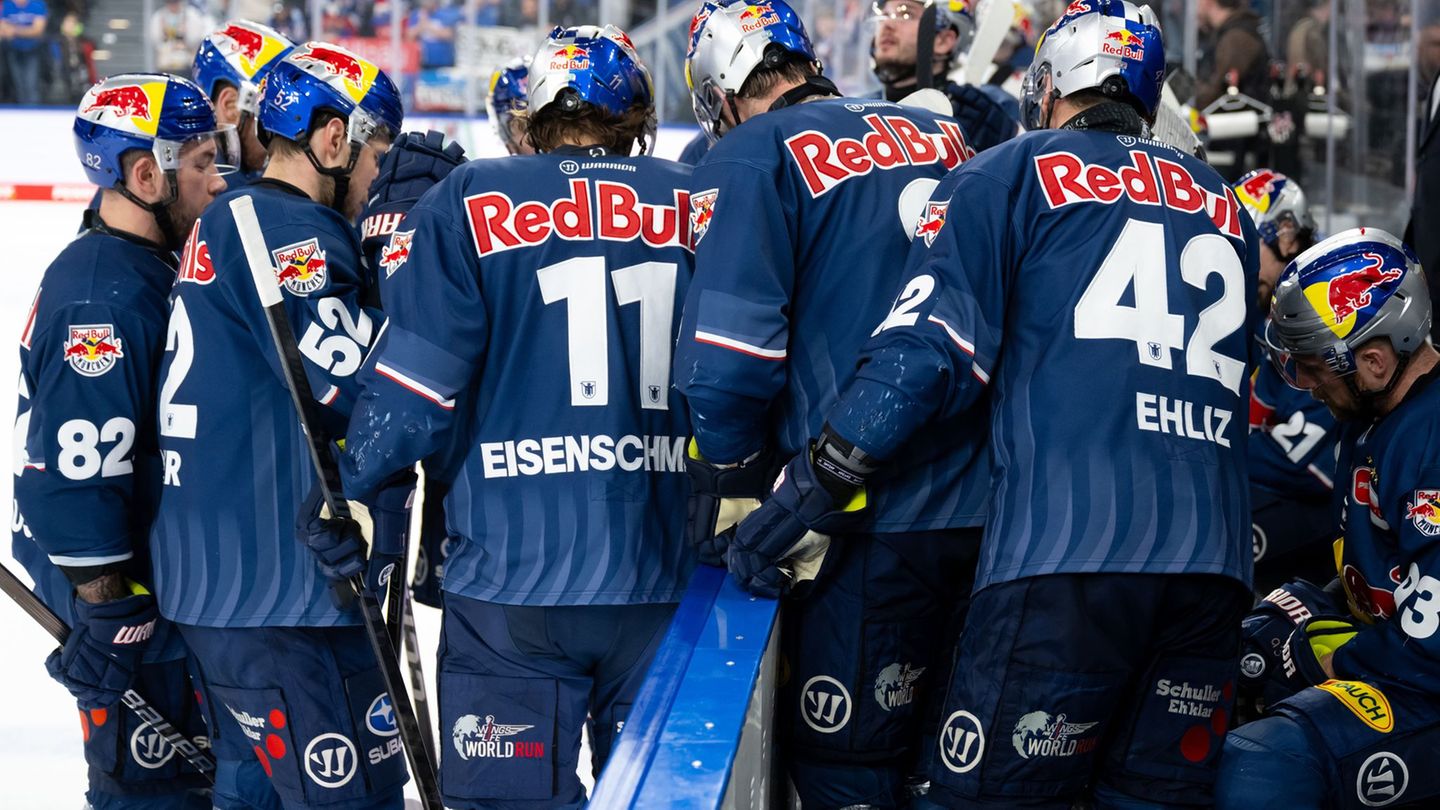 Bekommen künftig noch einen vierten Torhüter: Die Eishockey-Profis des EHC Red Bull München. (Archivfoto) Foto: Sven Hoppe/dpa