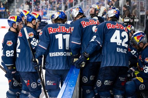 Bekommen künftig noch einen vierten Torhüter: Die Eishockey-Profis des EHC Red Bull München. (Archivfoto) Foto: Sven Hoppe/dpa