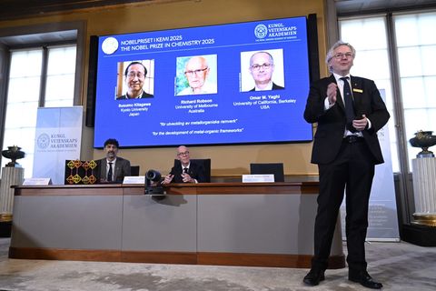 Mit ihrer Forscher legten die Chemiker die Basis für viele mögliche Problemlösungen. Foto: Fredrik Sandberg/TT News Agency/AP/dp