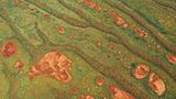 Auch die Nordwestküste des Kontinents schimmert in dem typischen rostroten Farbton. Nur zur Monsunzeit regnet es heftig und dann keimen dort die Grassamen und färben die Wüstenlandschaft für kurze Zeit in saftiges Grün