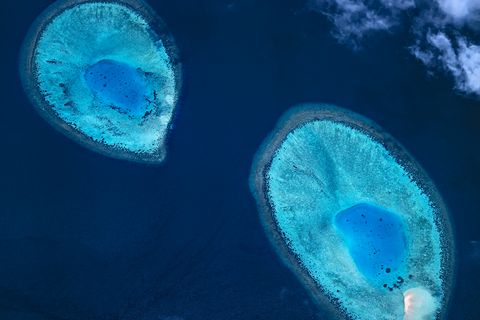 Wie Mikroben unter einem Mikroskop sehen diese beiden Koralleninseln im Baa-Atoll aus. Das Wasser dort ist zwischen 25 und 30 Grad warm. Immer. Beste Bedingungen für die unzähligen Korallentierchen, aus dessen Stützskelett letztlich die Riffe bestehen
