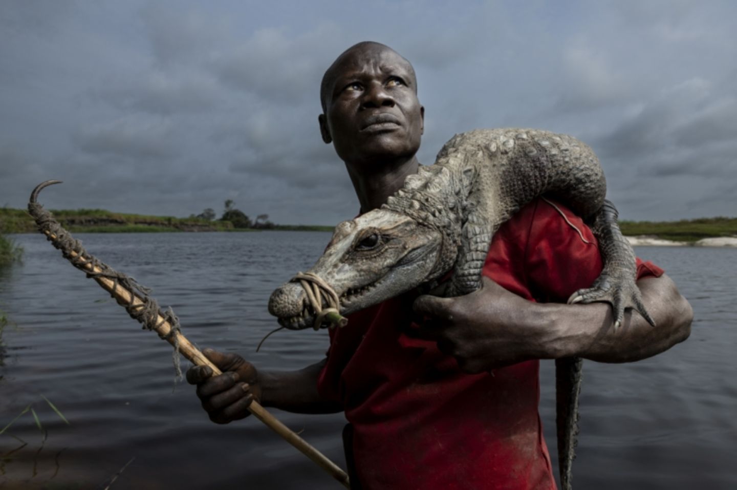 Itoua Brice posiert mit einem Zwergkrokodil, das er in den Sümpfen des Lake Télé Community Reserve, einem riesigen Sumpfwald im Kongo, gefangen hat. Die Einheimischen ziehen die Krokodile mit einer Liane aus ihren Höhlen, an der ein Haken befestigt ist. Krokodiljagd ist im Reservat für den lokalen Gebrauch erlaubt, der Verkauf der Tiere ohne Genehmigung ist jedoch verboten. Das Reserve wird gemeinsam von den kongolesischen Naturschutzbehörden und der Wildlife Conservation Society (WCS) verwaltet