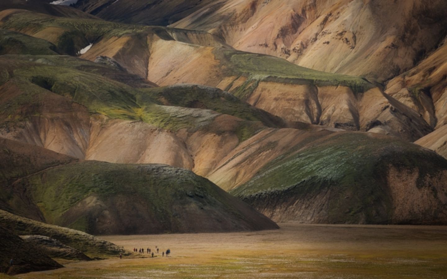 "Emerald Stacks" Commended