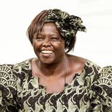 Maathai war eine bedeutende Umweltaktivistin aus Kenia und erhielt als erste afrikanische Frau den Friedensnobelpreis für ihren Einsatz gegen Korruption sowie für den Schutz und Erhalt der letzten großen Waldgebiete in Kenia. International kritisiert wurde sie allerdings, als sie ebenfalls 2004 öffentlich vor westlichen Forschern warnte und äußerte, dass AIDS als Kontrollinstrument gegen Afrikaner gezüchtet worden sei