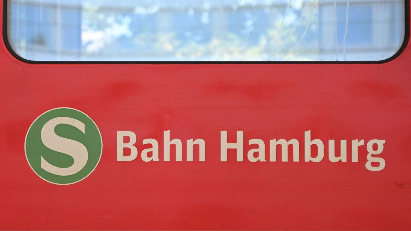 Die S-Bahn-Sperrung zwischen den Stationen Hauptbahnhof und Sternschanze in Hamburg wird noch mal verlängert. (Symbolbild) Foto: