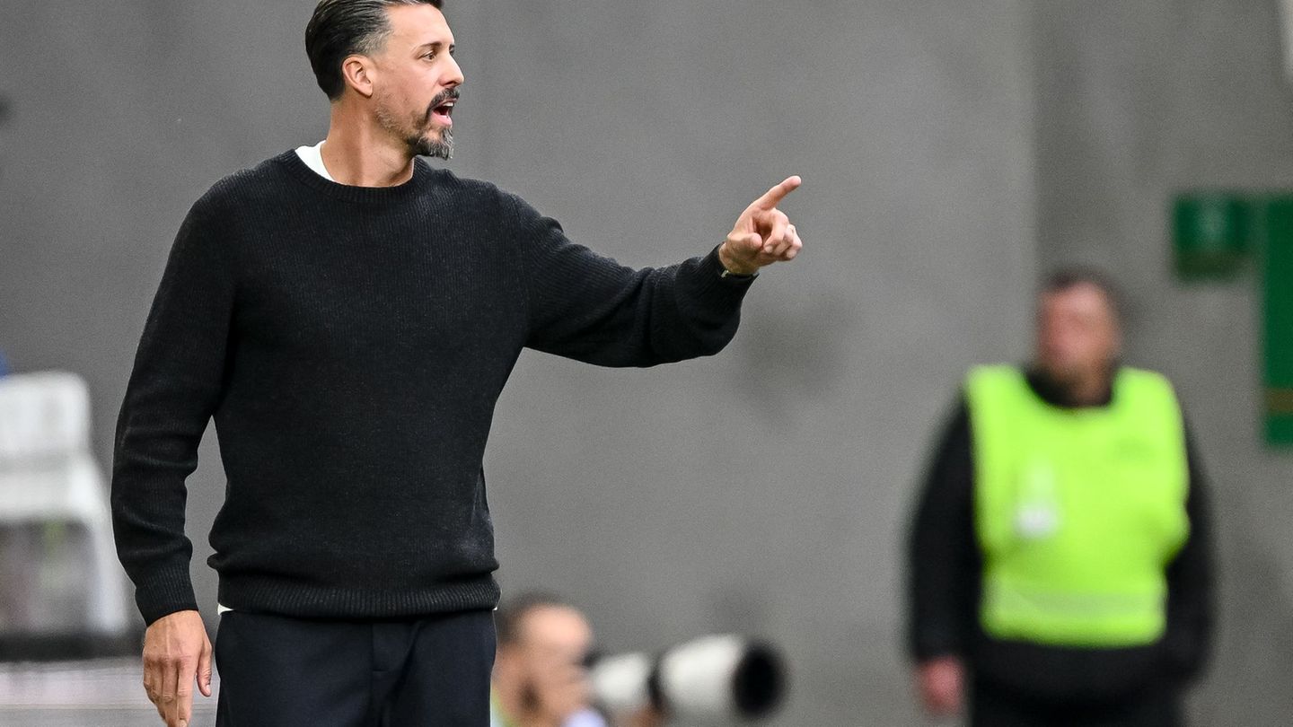 Augsburg-Trainer Sandro Wagner hat schon jetzt eine ereignisreiche erste Saisonphase hinter sich. (Archivbild) Foto: Harry Lange
