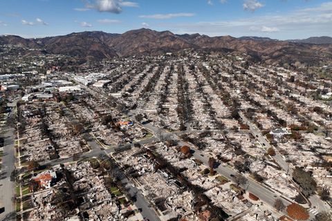 Im Januar hatten verheerende Brände ganze Viertel von Los Angeles verwüstet. (Archivbild) Foto: Jae C. Hong/AP/dpa