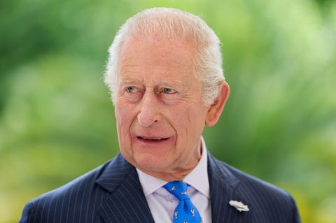 Eine Doku widmet sich dem Engagement von König Charles. (Archivbild) Foto: Chris Jackson/PA Wire/dpa