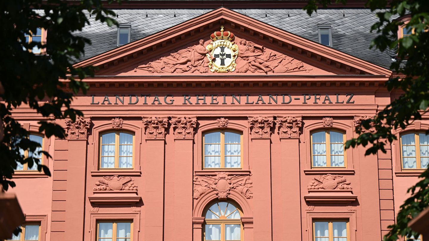 Im Landtag steht Teil zwei der Plenarwoche an. (Archivbild) Foto: Arne Dedert/dpa