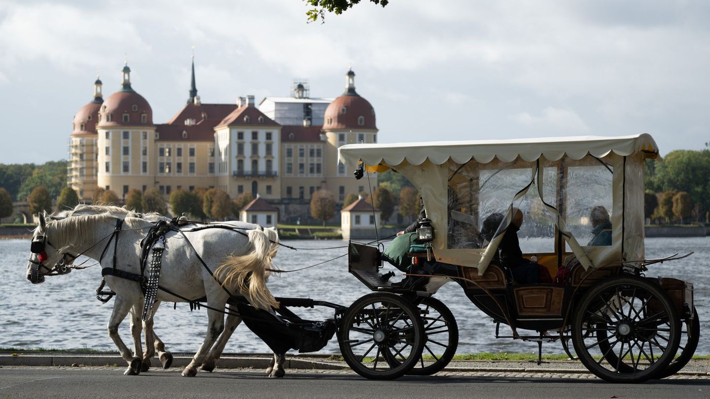 Die Herbstferien in Sachsen dauern noch bis zum 19. Oktober. (Archivbild) Foto: Sebastian Kahnert/dpa