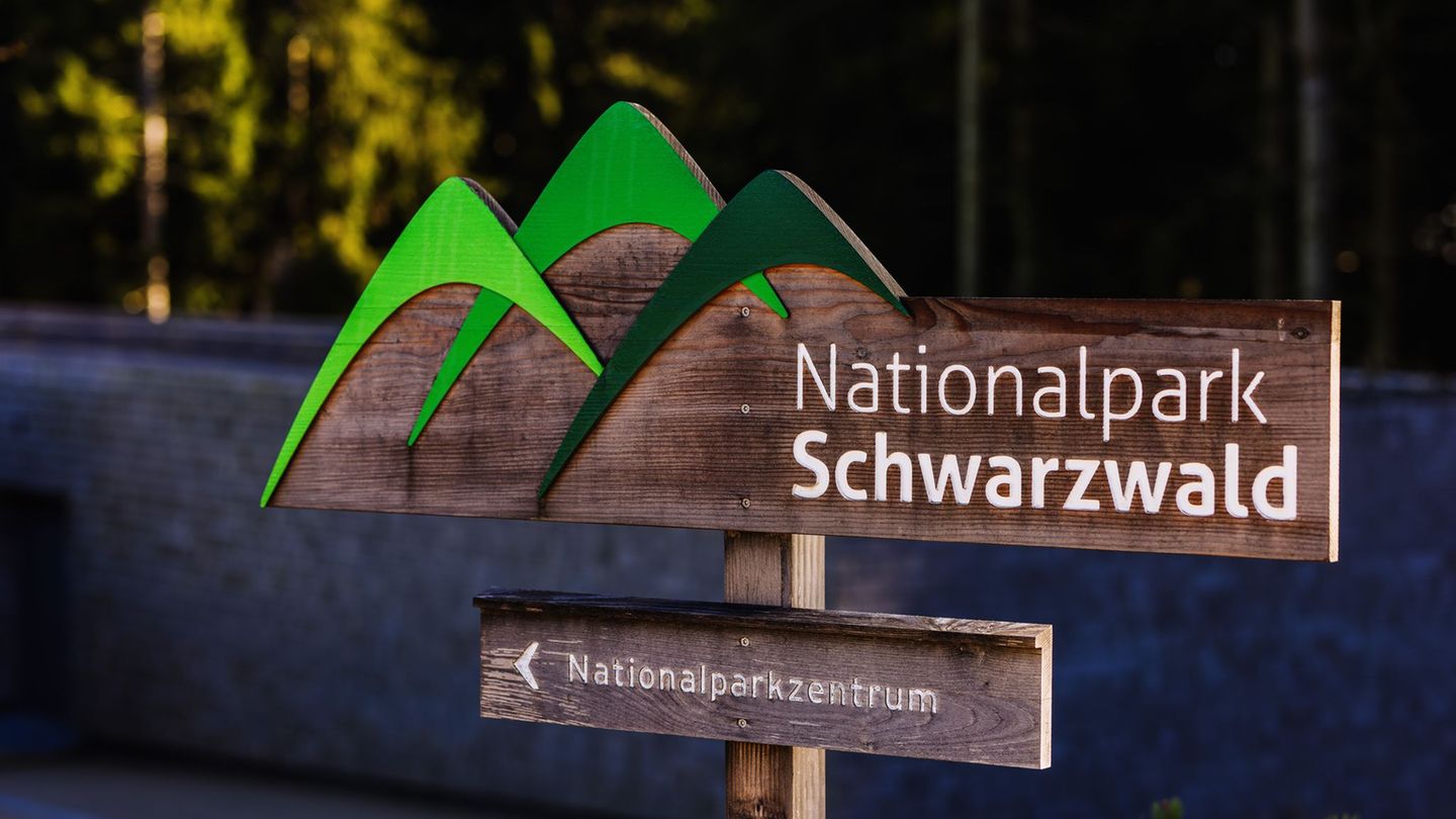 Mit einem Flächentausch ist nach Angaben der Umweltministerin auch die letzte Hürde für eine Erweiterung des Nationalparks im Sc