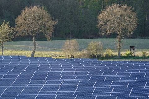 Solaranlagen müssen nicht immer so aussehen, sie können auch so gestaltet werden, dass sie einen Vorteil für die Biodiversität m