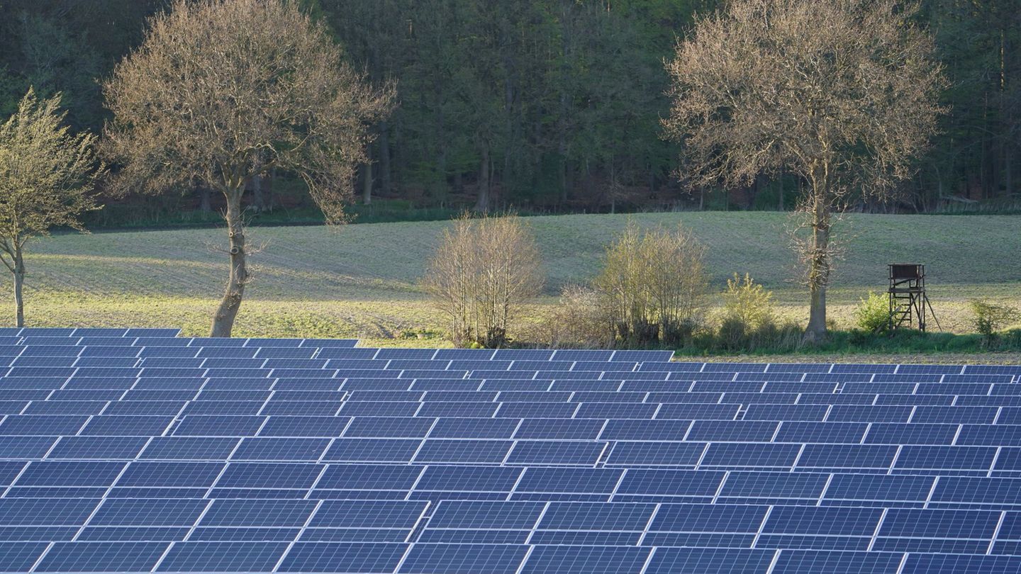 Solaranlagen müssen nicht immer so aussehen, sie können auch so gestaltet werden, dass sie einen Vorteil für die Biodiversität m