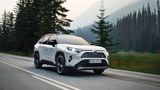 Platz 6: Toyota Rav4
