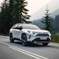 Platz 6: Toyota Rav4