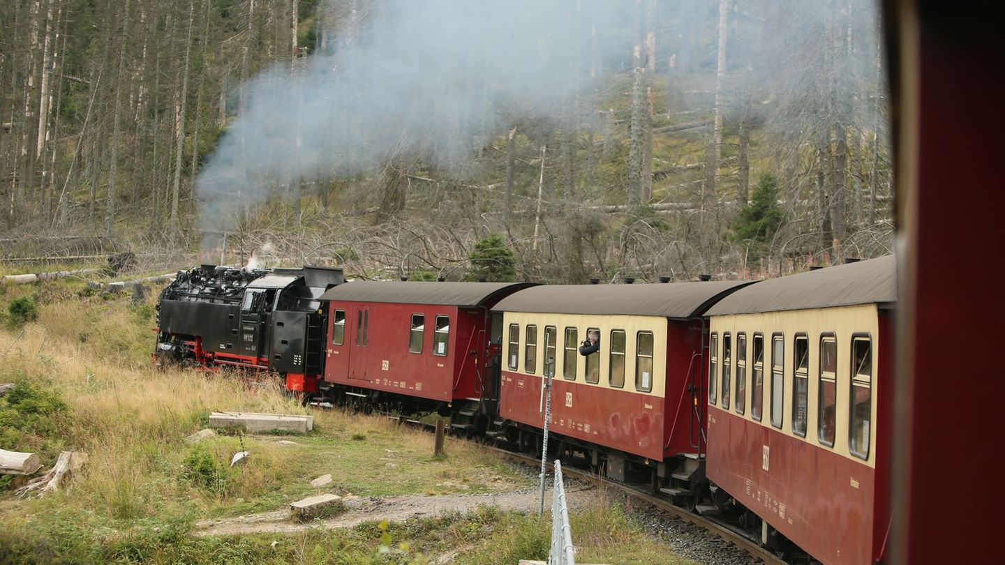 Wie geht es weiter bei den Harzer Schmalspurbahnen? (Archivbild) Foto: Matthias Bein/dpa-Zentralbild/dpa