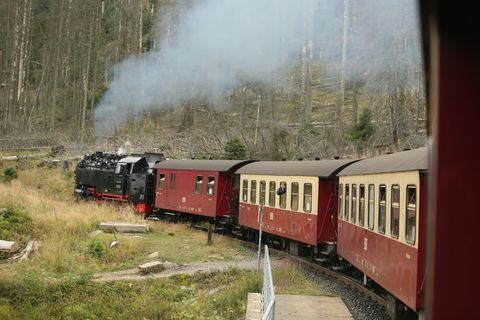 Wie geht es weiter bei den Harzer Schmalspurbahnen? (Archivbild) Foto: Matthias Bein/dpa-Zentralbild/dpa