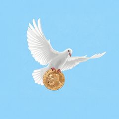 Humor: So bekommen auch SIE einen Friedensnobelpreis