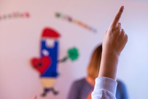 Nach Ansicht der AfD sollen Lehrkräfte keine politischen Meinungen im Klassenzimmer äußern. (Symbolbild) Foto: Jens Büttner/dpa-