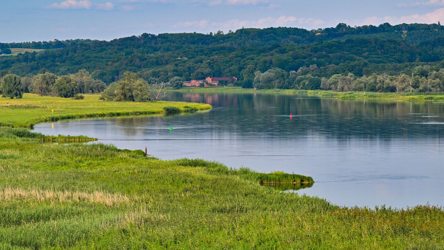 Der Nationalpark Unteres Odertal - eine geschützte Flussauenlandschaft im Nordosten von Brandenburg - besteht seit 30 Jahren. (A