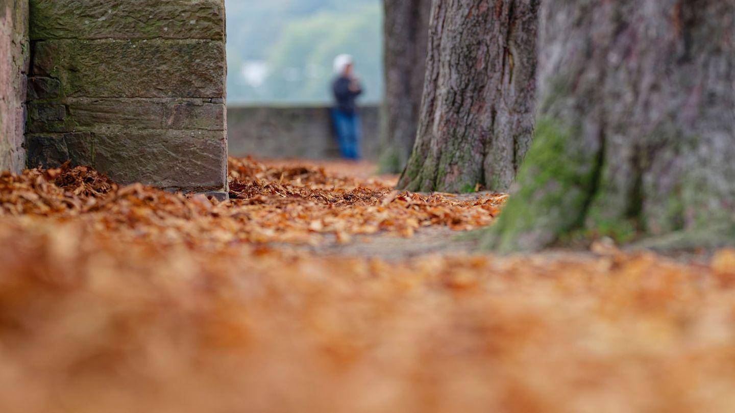 Herbstlaub liegt allenthalben auf den Wegen. Foto: Uwe Anspach/dpa