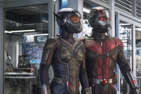 "Ant-Man and the Wasp": Hope Van Dyne (Evangeline Lilly, l.) und Scott Lang (Paul Rudd) bilden ein Team.