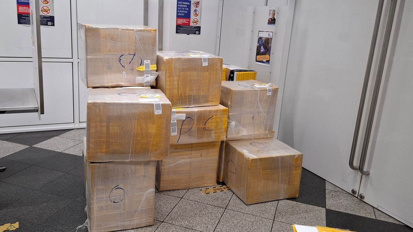Die Kisten erregten die Aufmerksamkeit der Zöllner. Foto: Zoll/Hauptzollamt München/dpa