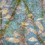 Fotowettbewerb: Mit Eis eingeschlossene Blätter aus der Luft