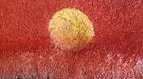 Fotowettbewerb: Felswand, welche von der untergehenden Sonne angestrahlt wird