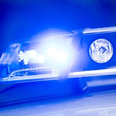 Um die Anwohner zu beruhigen, fängt die Polizei das Tierchen ein. Foto: Lino Mirgeler/dpa