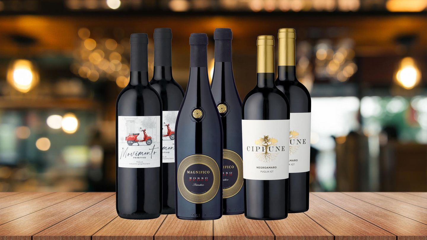 Probierpaket "Primitivo Lover"