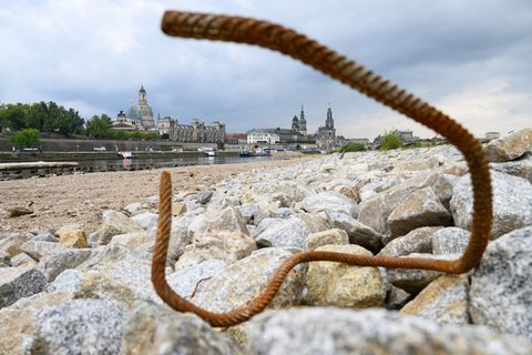 Gut ein Jahr nach dem Teileinsturz der Carolabrücke wurden die Abrissarbeiten beendet. (Archivbild) Foto: Robert Michael/dpa
