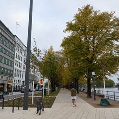 Die Umgestaltung der Straße Neuer Jungfernstieg in Hamburg ist abgeschlossen. Foto: Georg Wendt/dpa