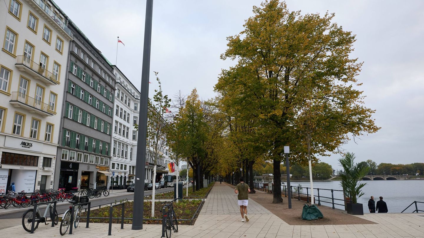 Die Umgestaltung der Straße Neuer Jungfernstieg in Hamburg ist abgeschlossen. Foto: Georg Wendt/dpa