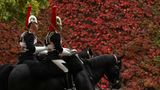 London, Großbritannien. Zwei Soldaten der berittenen Palastwache reiten an einer herbstlich-roten Hecke entlang, während der berühmte Wachwechsel vor dem House Guards stattfindet