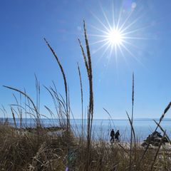 Die Ostsee hat für ihre Anwohner eine hohe emotionale Bedeutung, hat das Thünen-Institut in einer Umfrage herausgefunden. (Symbo