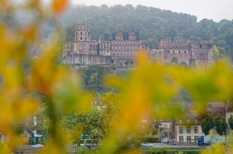 Nebel und Sonne zeichnen das Wetter in den nächsten Tagen. Foto: Uwe Anspach/dpa
