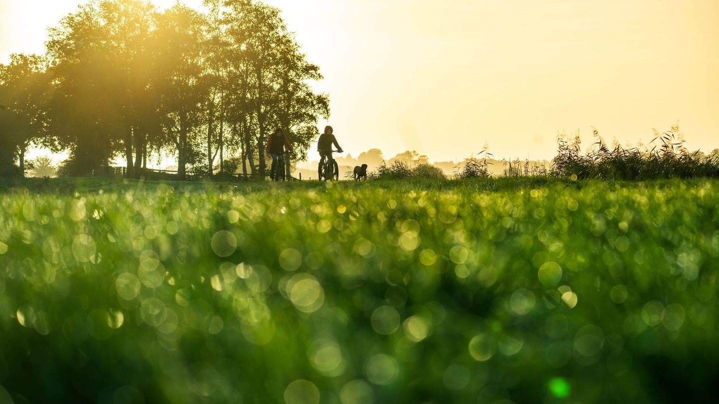 Mildes Herbstwetter für die kommenden Tage prognostiziert der DWD - die Sonne bleibt aber rar. Foto: Sina Schuldt/dpa