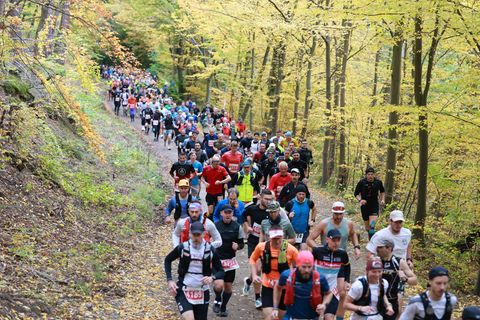 So viele Läuferinnen und Läufer wie seit acht Jahren nicht mehr hatten sich beim 47. Harz-Gebirgslauf angemeldet. Foto: Matthias