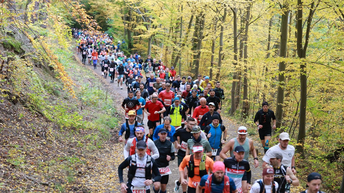 So viele Läuferinnen und Läufer wie seit acht Jahren nicht mehr hatten sich beim 47. Harz-Gebirgslauf angemeldet. Foto: Matthias