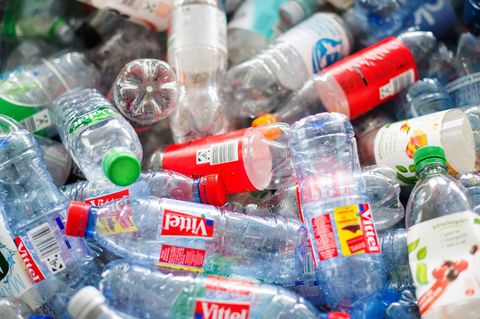 So hoch ist die Plastikchemikalien-Belastung in ihrem Alltag wirklich