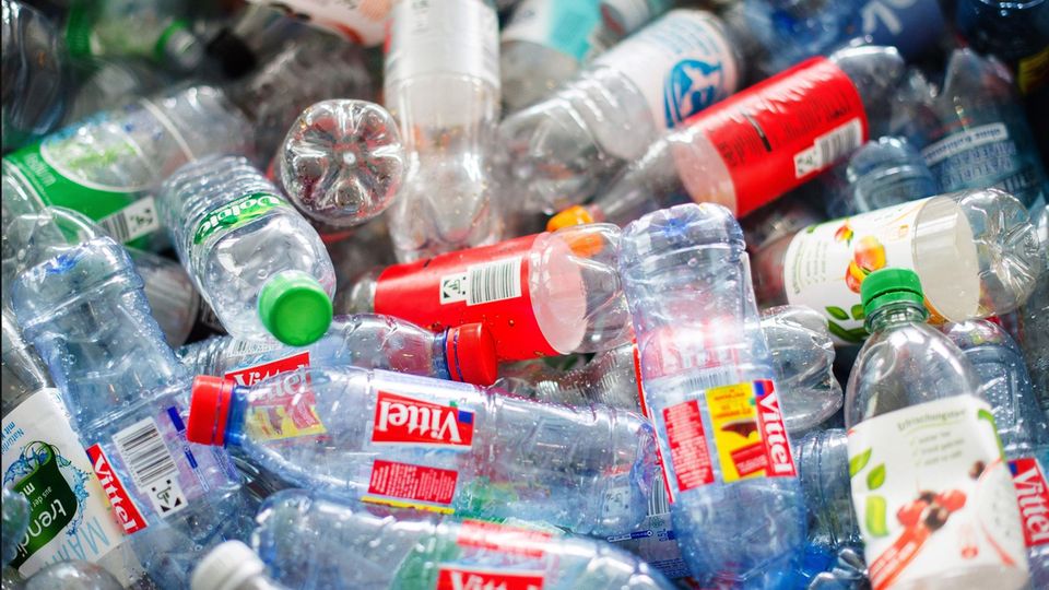 So hoch ist die Plastikchemikalien-Belastung in ihrem Alltag wirklich