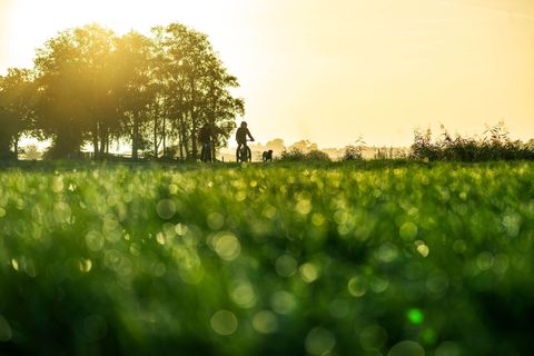 Mildes Herbstwetter prognostiziert der DWD für die kommenden Tage - die Sonne bleibt aber rar. Foto: Sina Schuldt/dpa