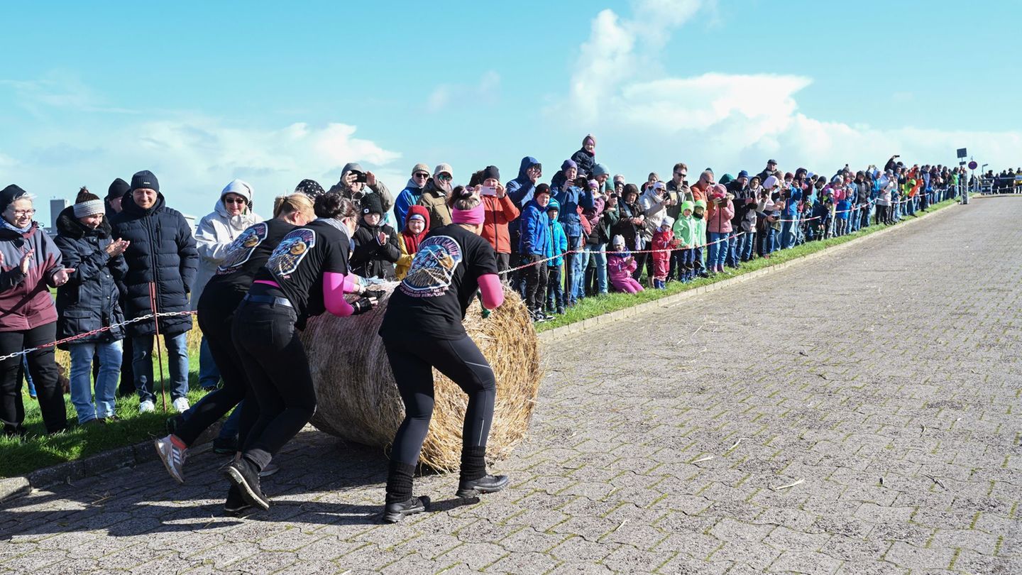 In drei Kategorien (Männer-, Frauen- und Mixteams) wird jeweils ein "Strohballen-Rollmeister" gesucht. (Archivbild) Foto: Lars P