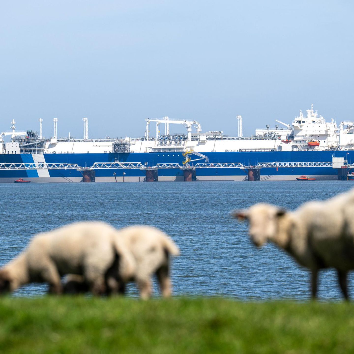 Spezialschiff "Excelsior", schwimmendes LNG-Terminal